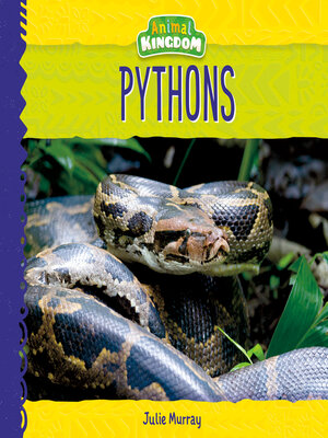cover image of Pythons